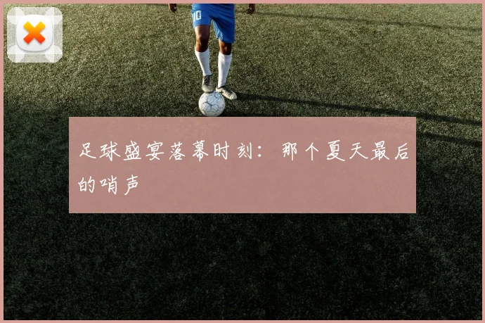 足球盛宴落幕时刻：那个夏天最后的哨声